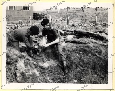 ref: D/DLI 7/534/8(136)