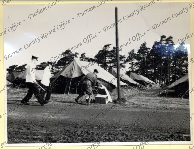 ref: D/DLI 7/534/8(138)