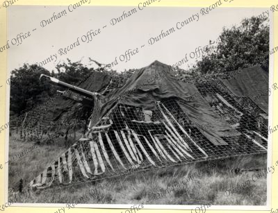 ref: D/DLI 7/534/8(145)