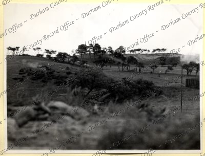 ref: D/DLI 7/534/8(147)