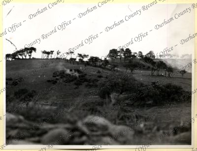 ref: D/DLI 7/534/8(148)