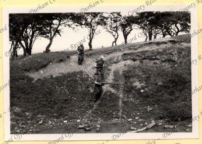 ref: D/DLI 7/534/8(153)