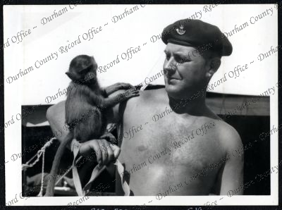 ref: D/DLI 7/534/9(27)