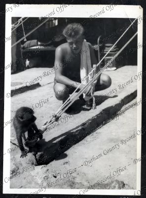 ref: D/DLI 7/534/9(28)