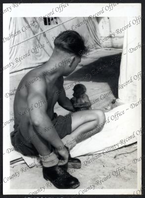 ref: D/DLI 7/534/9(31)