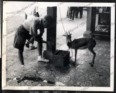 ref: D/DLI 7/534/9(47)