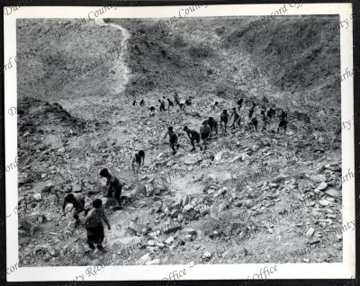 ref: D/DLI 7/534/9(50)