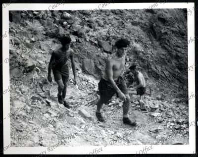 ref: D/DLI 7/534/9(52)