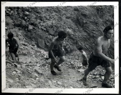 ref: D/DLI 7/534/9(54)