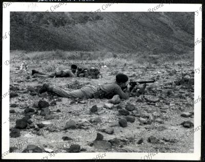 ref: D/DLI 7/534/9(80)