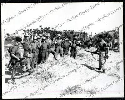 ref: D/DLI 7/534/9(83)