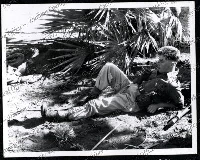 ref: D/DLI 7/534/9(84)