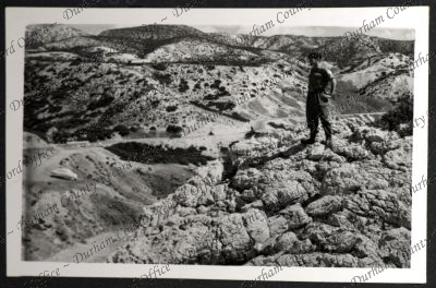 ref: D/DLI 7/534/10(55)