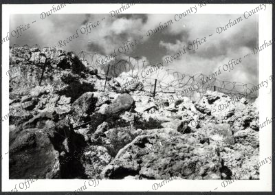 ref: D/DLI 7/534/10(65)