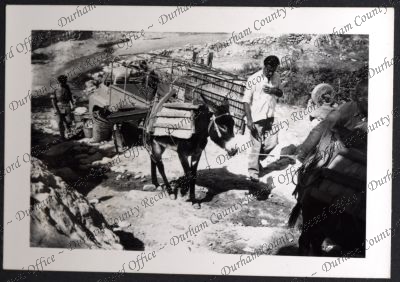 ref: D/DLI 7/534/10(73)