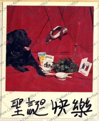 ref: D/DLI 7/534/12(1)