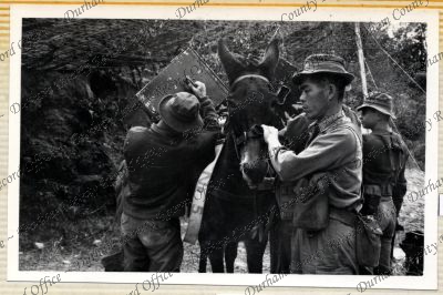 ref: D/DLI 7/534/12(29)