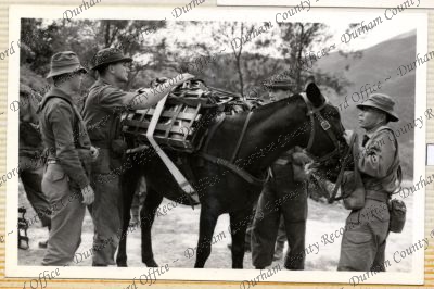 ref: D/DLI 7/534/12(37)