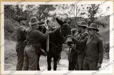 ref: D/DLI 7/534/12(38)