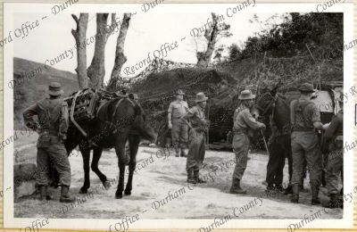 ref: D/DLI 7/534/12(40)