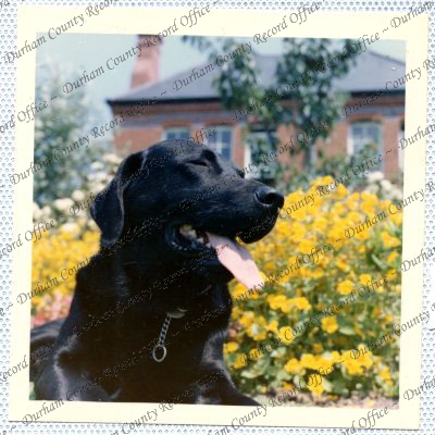 ref: D/DLI 7/534/14(7)