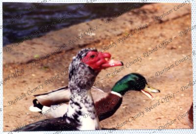 ref: D/DLI 7/534/15(40)