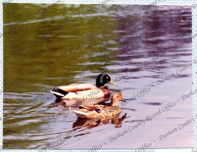 ref: D/DLI 7/534/15(46)