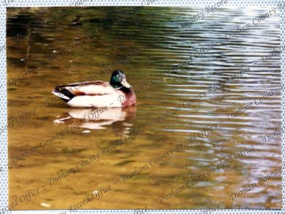 ref: D/DLI 7/534/15(47)