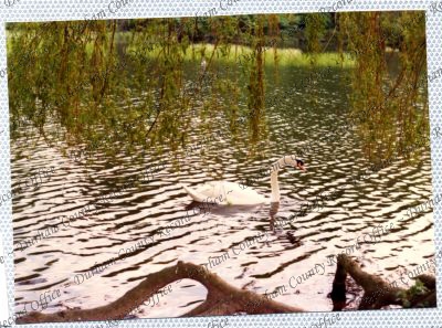 ref: D/DLI 7/534/15(52)