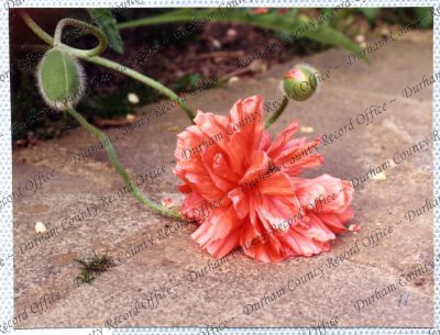 ref: D/DLI 7/534/15(54)