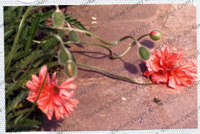 ref: D/DLI 7/534/15(55)