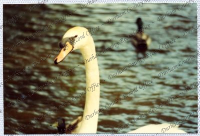 ref: D/DLI 7/534/15(56)