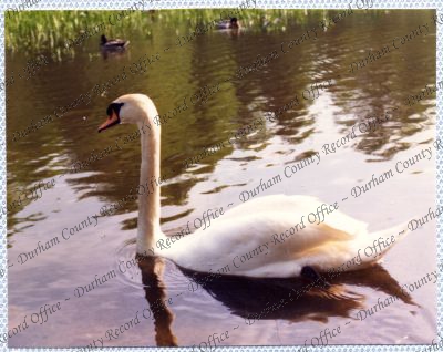 ref: D/DLI 7/534/15(57)