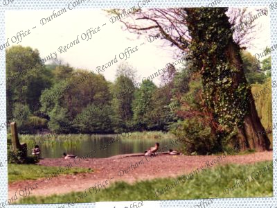 ref: D/DLI 7/534/15(62)