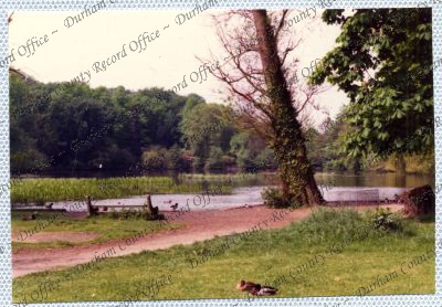 ref: D/DLI 7/534/15(63)