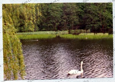 ref: D/DLI 7/534/15(64)