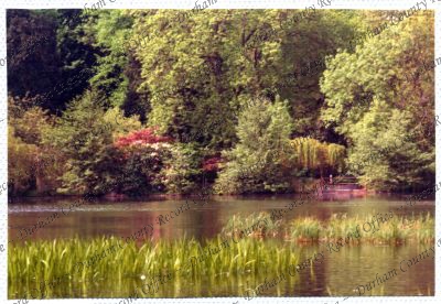 ref: D/DLI 7/534/15(65)