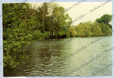 ref: D/DLI 7/534/15(67)