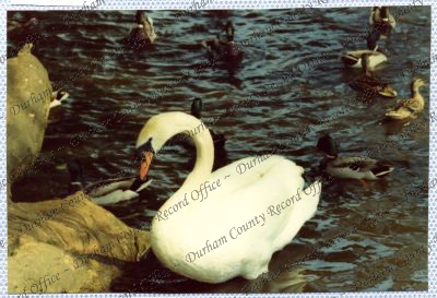 ref: D/DLI 7/534/15(68)