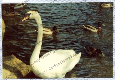 ref: D/DLI 7/534/15(69)