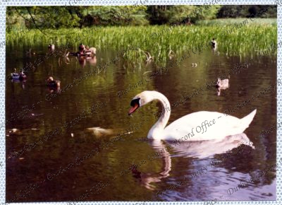 ref: D/DLI 7/534/15(70)