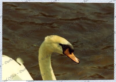 ref: D/DLI 7/534/15(71)