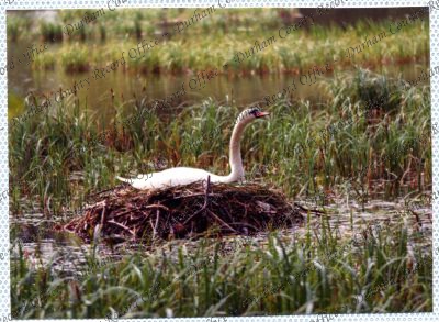 ref: D/DLI 7/534/15(72)