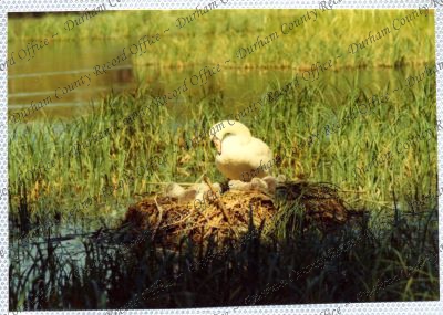 ref: D/DLI 7/534/15(75)