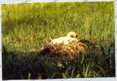 ref: D/DLI 7/534/15(76)