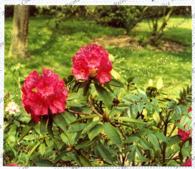 ref: D/DLI 7/534/15(80)