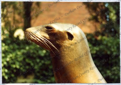 ref: D/DLI 7/534/15(85)