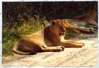 ref: D/DLI 7/534/15(86)