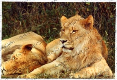 ref: D/DLI 7/534/15(87)