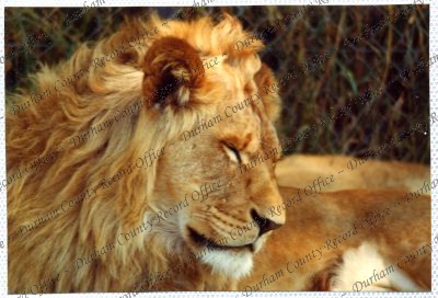 ref: D/DLI 7/534/15(88)